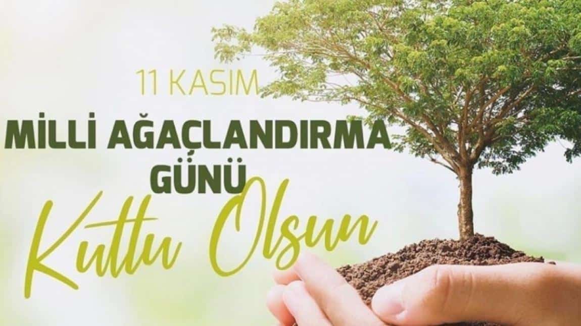 11 Kasım Milli Ağaçlandırma Günü 